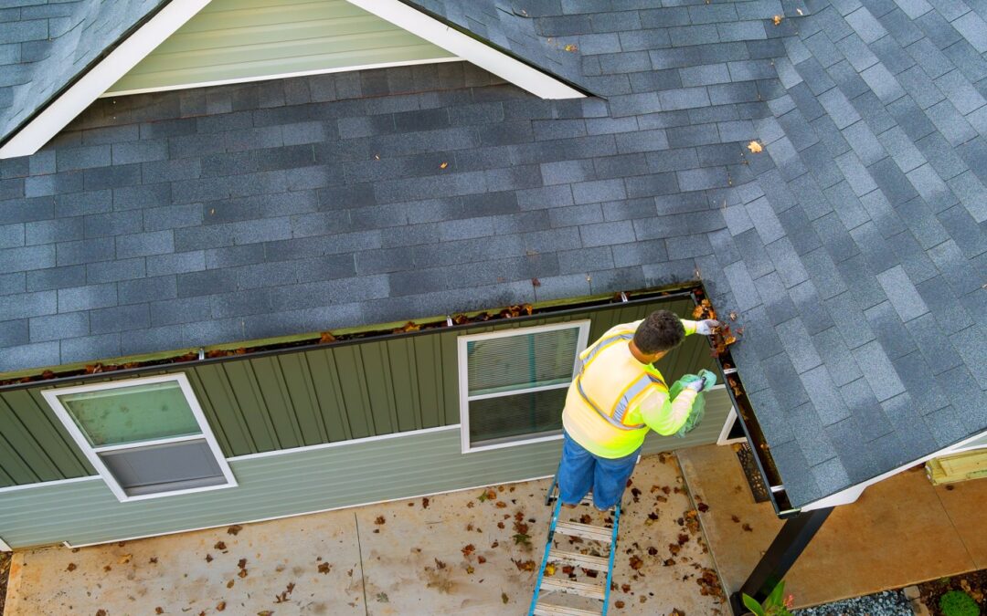  Essential Roofing Tips for New Homeowners