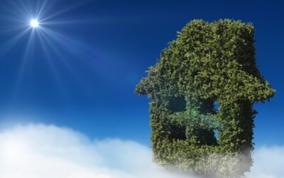 A Guide on Eco-Friendly Roofing Solutions