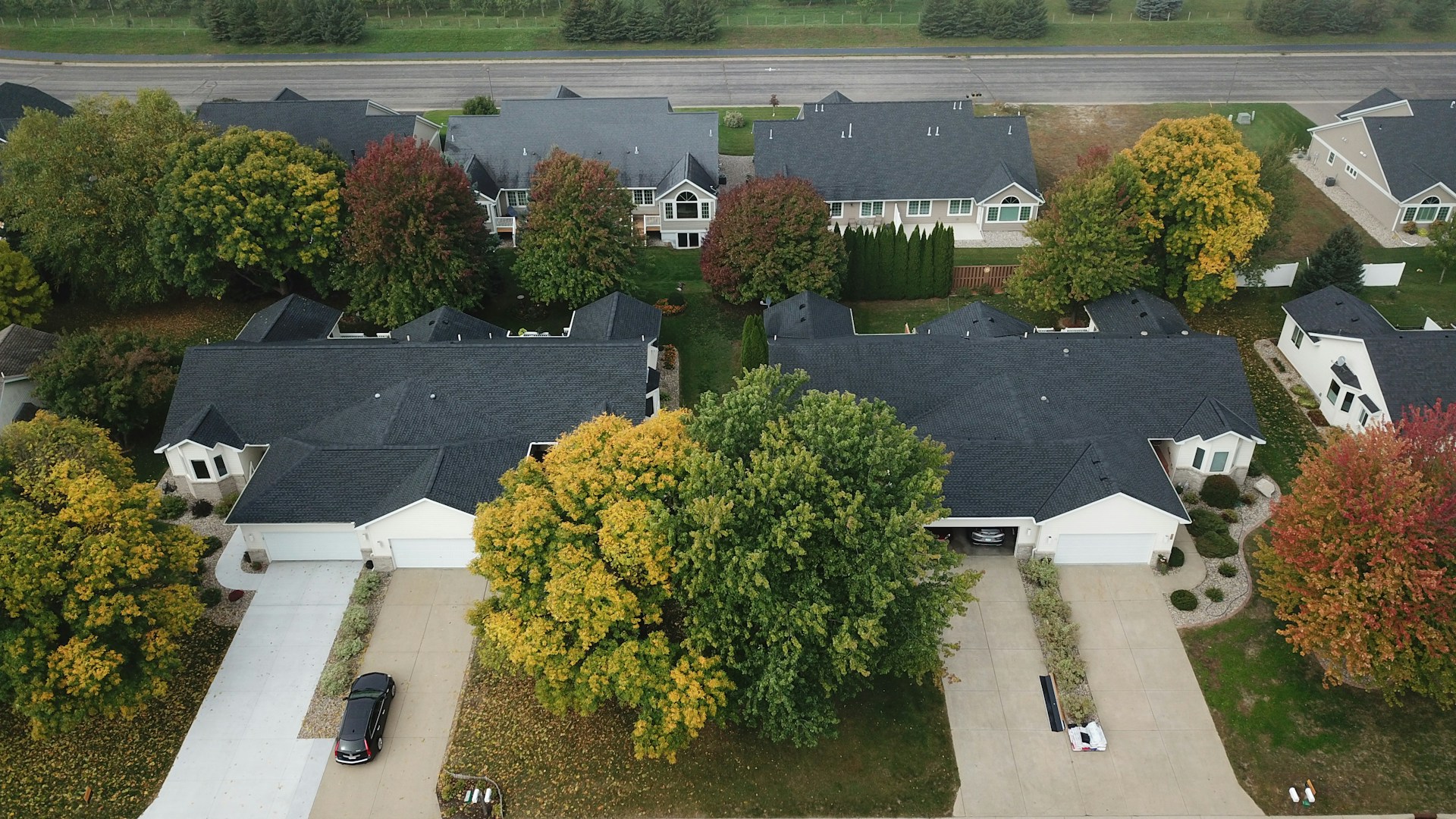 Trees on Roof