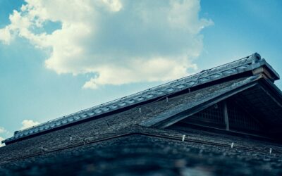 Maximize Your Roof Life: Essential Homeowner’s Manual