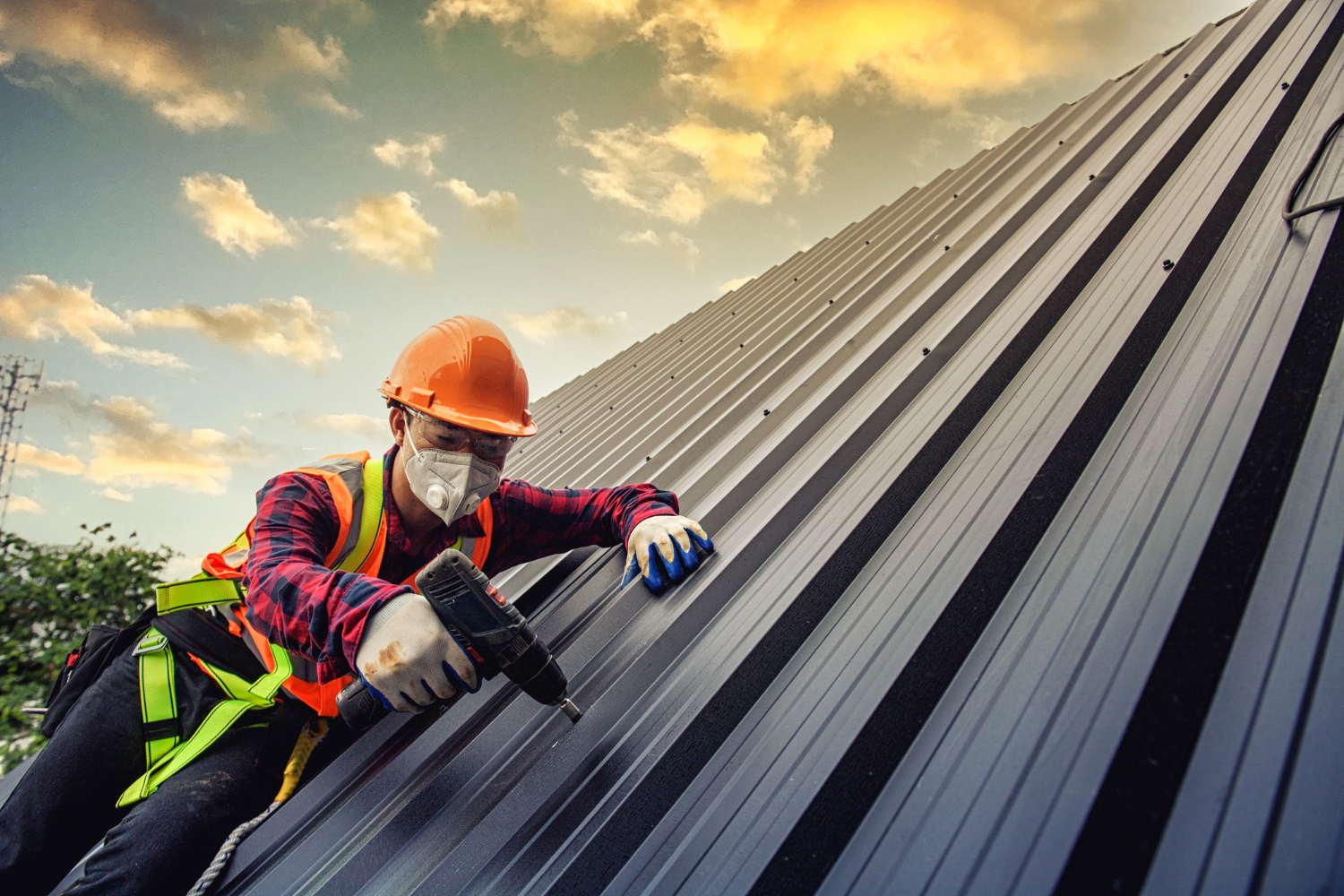 Roof Maintenance