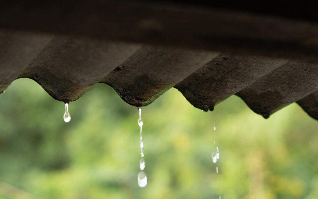 What to Do When Your Commercial Roof Springs a Leak