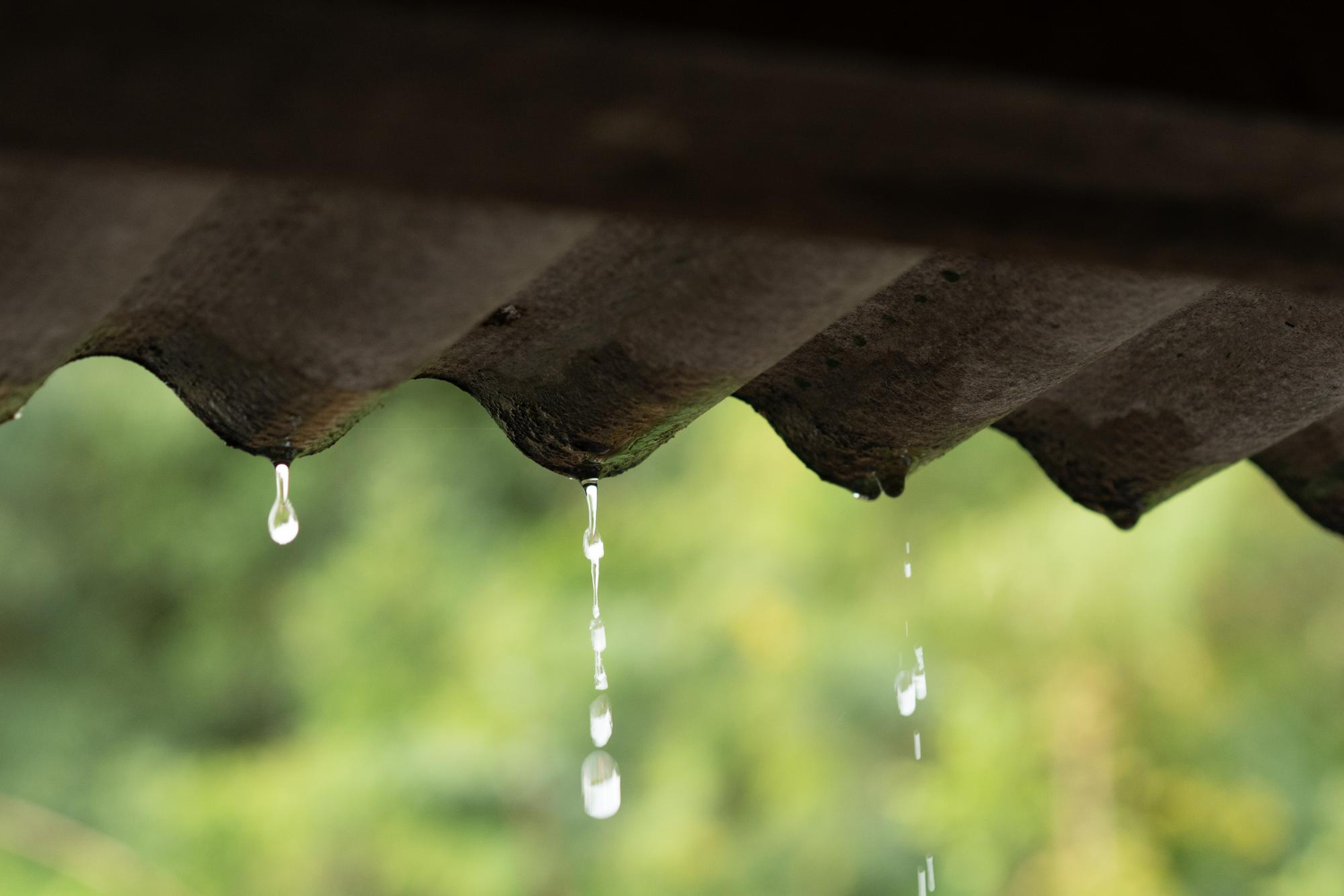 Roof Leak