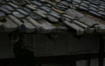 How to Prevent Roof Damage from Severe Weather