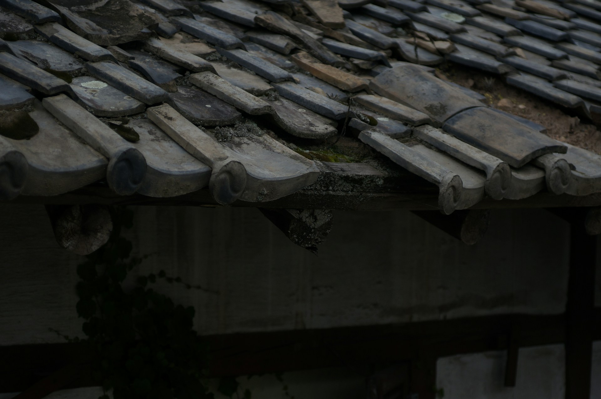 Roof Damage