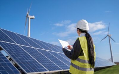 How Solar Panels Impact the Environment: A Quick Guide