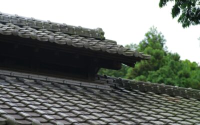 Key Tips for Maintaining Your Shingle Roof