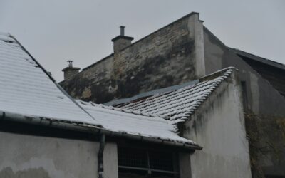 Dealing With Hail-Damaged Shingles: A Step-by-Step Guide