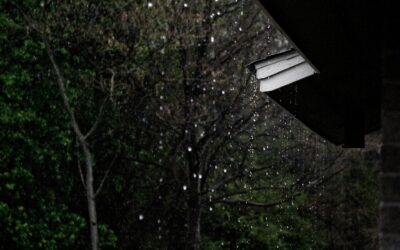 How to Maintain Your Roof During the Rainy Season