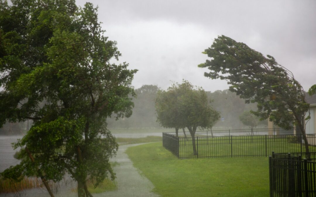 What to Do If Your Roof Suffers Storm Damage