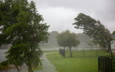 What to Do If Your Roof Suffers Storm Damage