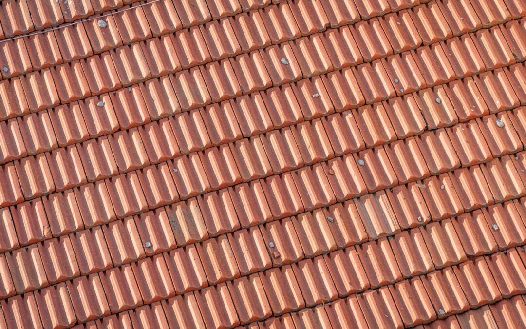 Dealing With Hail-Damaged Shingles: What Every Homeowner Should Know