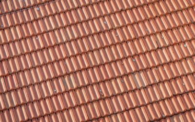 Dealing With Hail-Damaged Shingles: What Every Homeowner Should Know