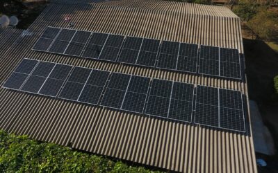 Why More Businesses Are Switching to Solar Energy