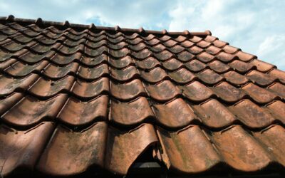 Steps to Take When You Need Roof Repair Services