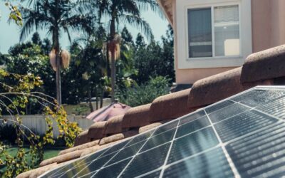 The Sunny Side of Your Wallet: How Solar Panels Pay Off
