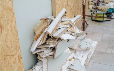basement mold mitigation strategies that actually keep spores away image Basement Mold Mitigation Strategies That Actually Keep Spores Away