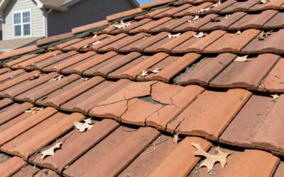 Cracked Roof Tile 101: Common Causes and Easy DIY Fixes
