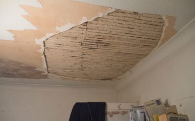 Don’t Let It Fester: How to Handle Mold After a Leak