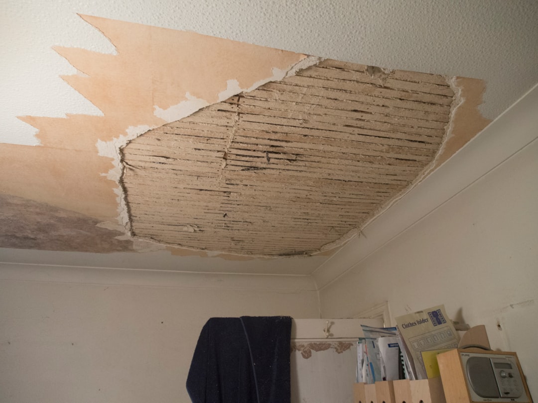 dont-let-it-fester-how-to-handle-mold-after-a-leak-image water leak mold removal ceiling damage