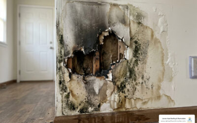Don’t Let Mold Double Down on Your Fire Damage