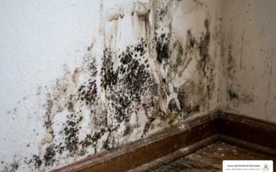 dont let mold remediation costs drain your bank account image Don’t Let Mold Remediation Costs Drain Your Bank Account