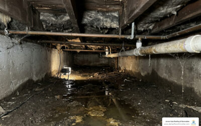 down and dirty guide to emergency sewage remediation image Down and Dirty Guide to Emergency Sewage Remediation