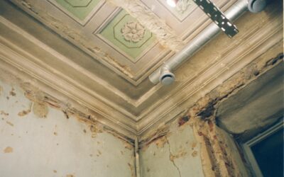 from leak to sleek the ultimate guide to repairing damp ceilings image From Leak to Sleek: The Ultimate Guide to Repairing Damp Ceilings