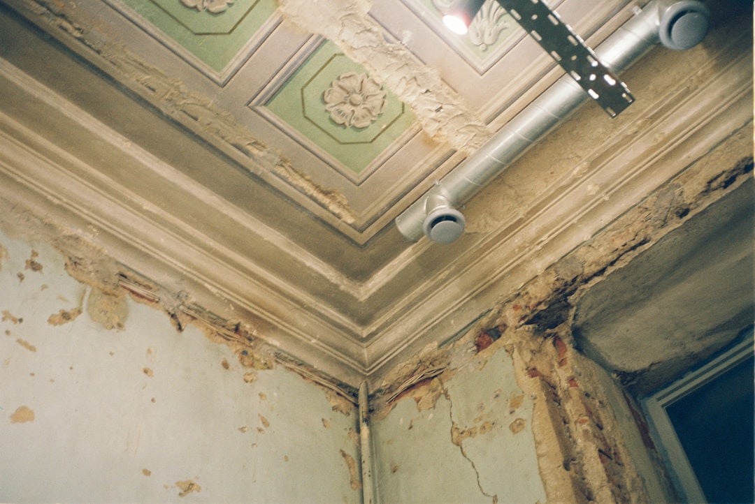 from-leak-to-sleek-the-ultimate-guide-to-repairing-damp-ceilings-image fix wet ceiling