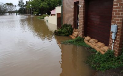 how to choose the best flood clean up services image How to Choose the Best Flood Clean Up Services