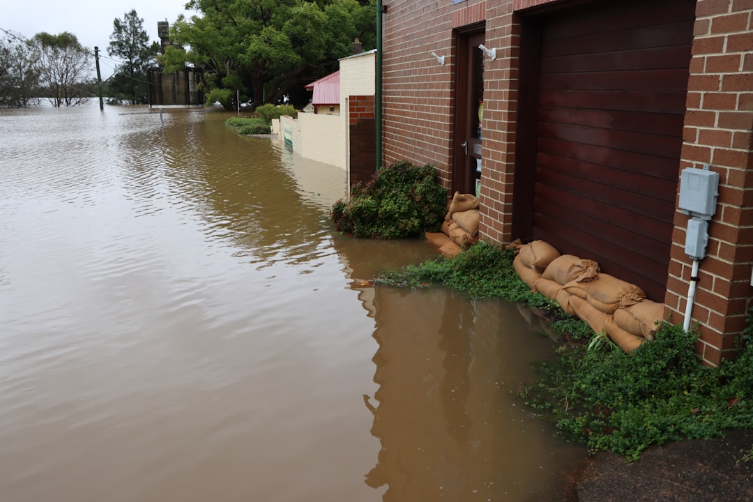 how-to-choose-the-best-flood-clean-up-services-image flood damage in a home with standing water and emergency response