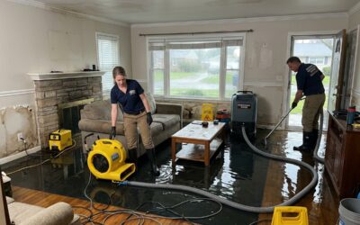 how to handle a sudden flood without losing your cool image How to Handle a Sudden Flood Without Losing Your Cool