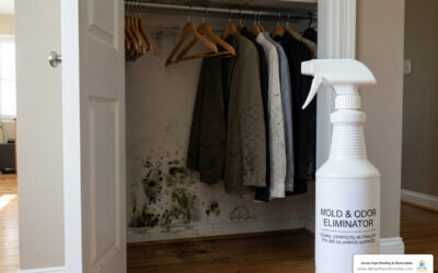smells like teen spirit no thats mold best ways to eliminate musty odors image Smells Like Teen Spirit? No, That’s Mold: Best Ways to Eliminate Musty Odors