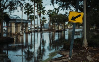 the business owners guide to surviving commercial water damage image The Business Owner’s Guide to Surviving Commercial Water Damage