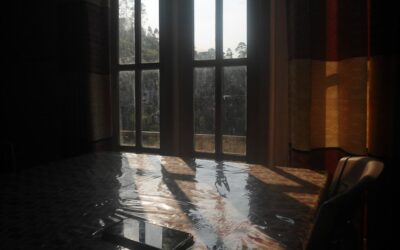 the essential guide to identifying your category of water loss image The Essential Guide to Identifying Your Category of Water Loss