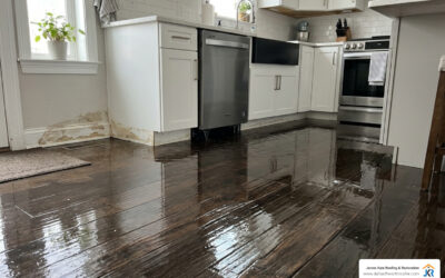 the ultimate guide to cleaning up after appliance leaks image The Ultimate Guide to Cleaning Up After Appliance Leaks