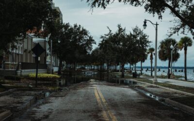 the ultimate guide to hiring flood damage contractors image The Ultimate Guide to Hiring Flood Damage Contractors