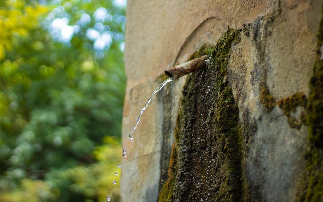 Water Damage Repair Costs: A Comprehensive Guide to What You’ll Pay