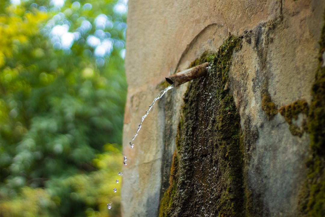 cost of water damage repair