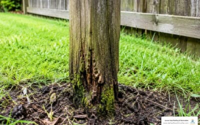 why bitumen paint doubles the life of outdoor timber posts image Why Bitumen Paint Doubles the Life of Outdoor Timber Posts