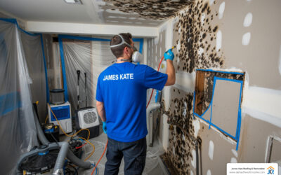 X Top Mold Remediation Services
